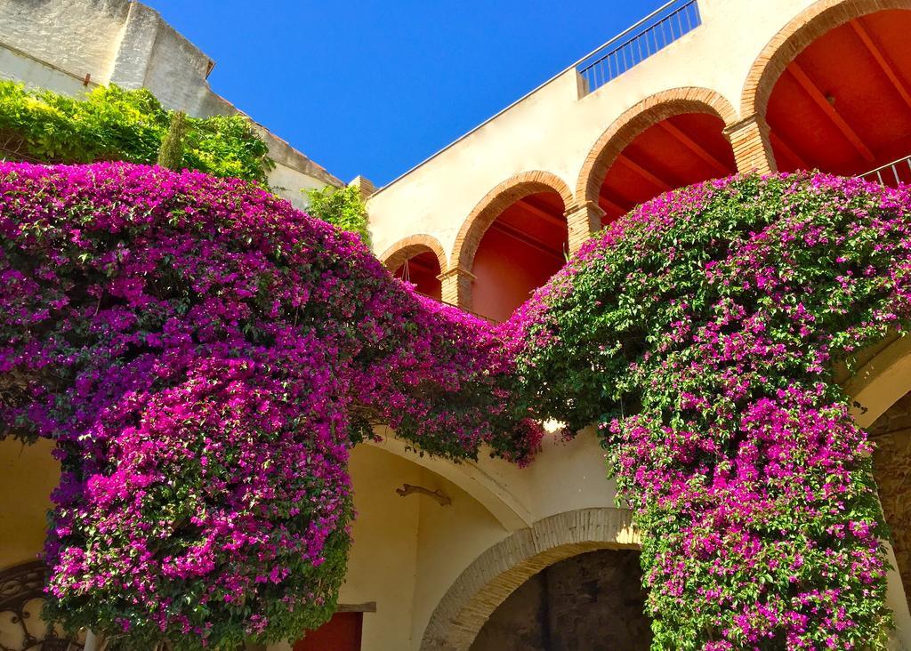 Apartaments Can Gibert Castello  D'Empuries Exterior photo
