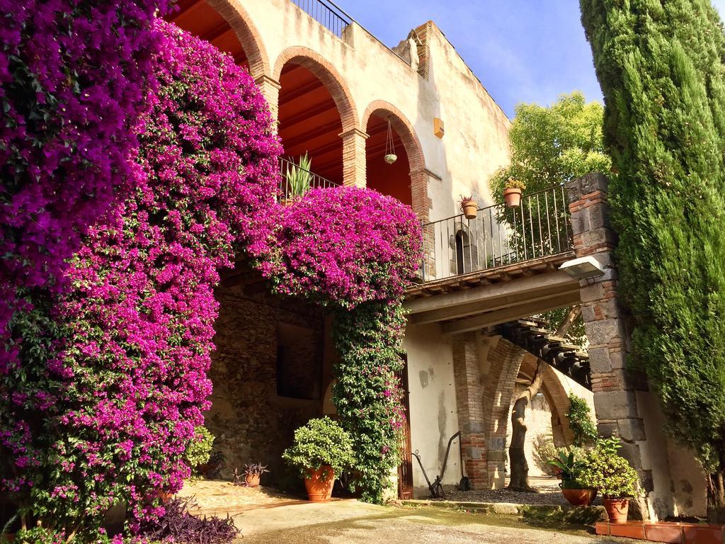 Apartaments Can Gibert Castello  D'Empuries Exterior photo