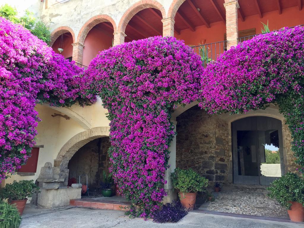 Apartaments Can Gibert Castello  D'Empuries Exterior photo